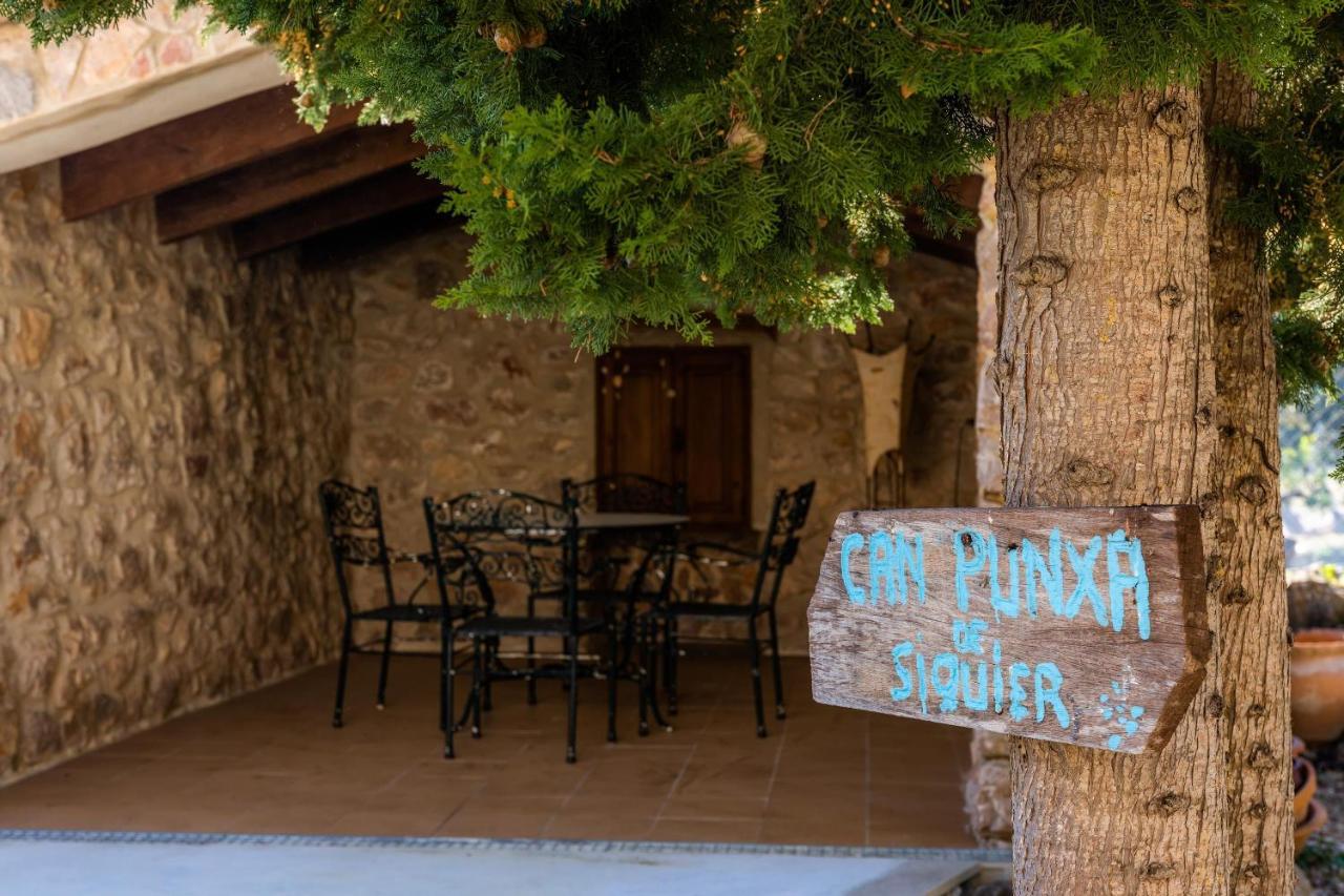 Punxa De Siquier Villa Pollença